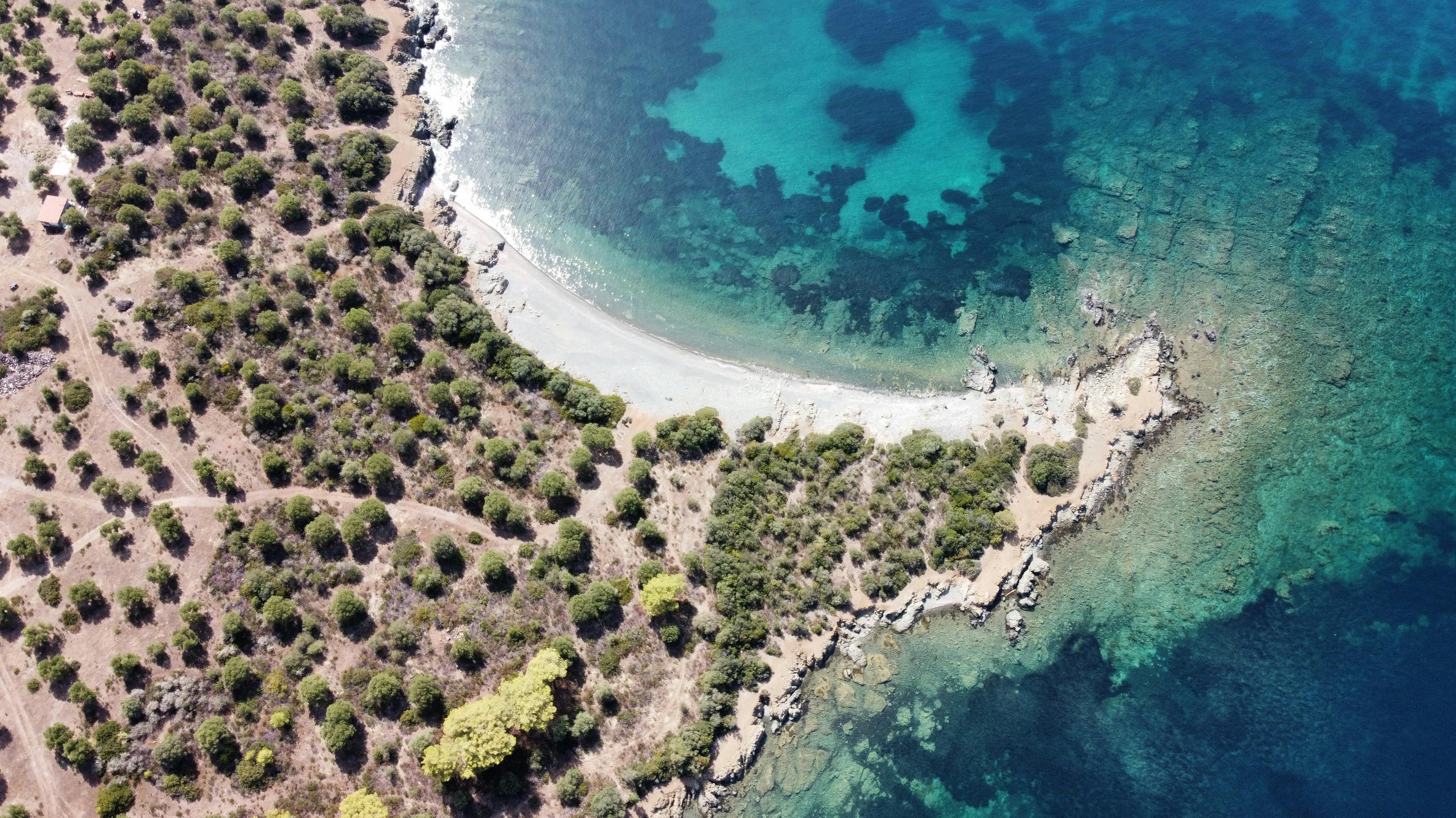 pexels-thanos-skoufitsas-123876144-11898125